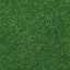 Turf