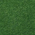 Turf